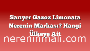 Sarıyer Gazoz Limonata Nerenin Markası? Hangi Ülkeye Ait