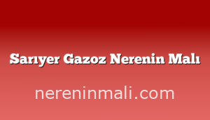 Sarıyer Gazoz Nerenin Malı