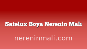 Satelux Boya Nerenin Malı