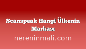 Scanspeak Hangi Ülkenin Markası