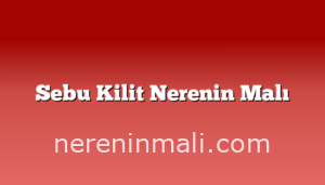 Sebu Kilit Nerenin Malı