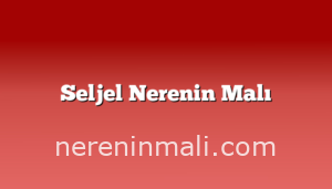 Seljel Nerenin Malı