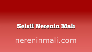 Selsil Nerenin Malı