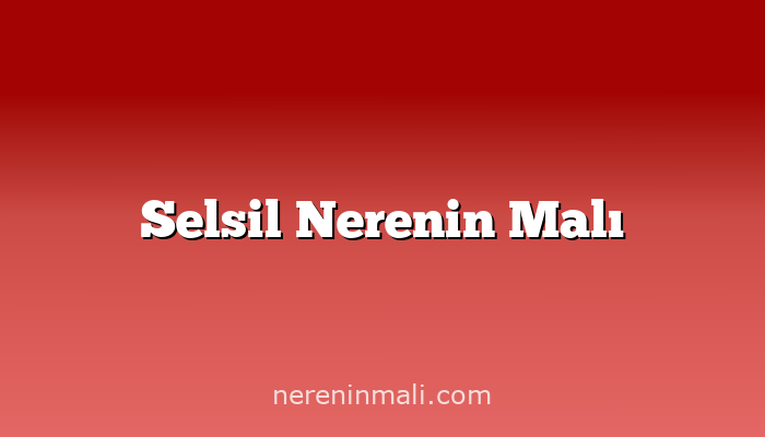 Selsil Nerenin Malı