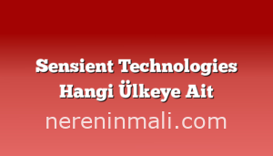 Sensient Technologies Hangi Ülkeye Ait