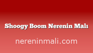 Shoogy Boom Nerenin Malı