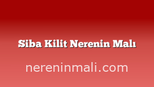 Siba Kilit Nerenin Malı