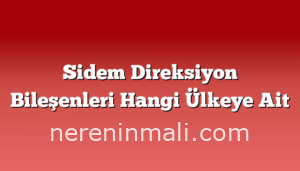 Sidem Direksiyon Bileşenleri Hangi Ülkeye Ait