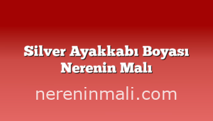 Silver Ayakkabı Boyası Nerenin Malı