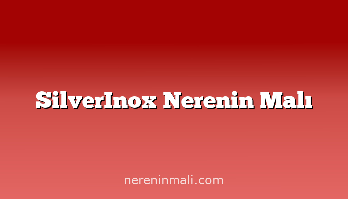 SilverInox Nerenin Malı