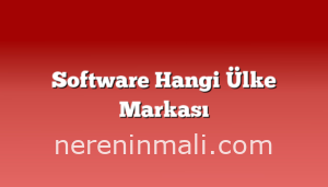 Software Hangi Ülke Markası