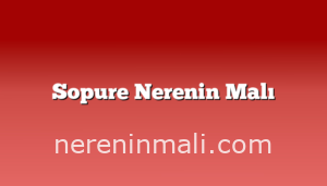 Sopure Nerenin Malı