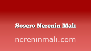 Sosero Nerenin Malı