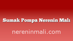 Sumak Pompa Nerenin Malı