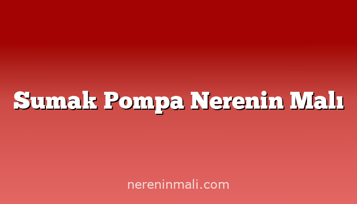 Sumak Pompa Nerenin Malı