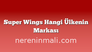 Super Wings Hangi Ülkenin Markası