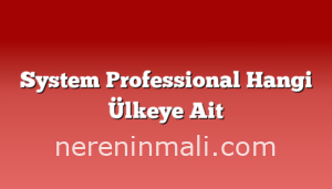 System Professional Hangi Ülkeye Ait