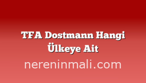 TFA Dostmann Hangi Ülkeye Ait