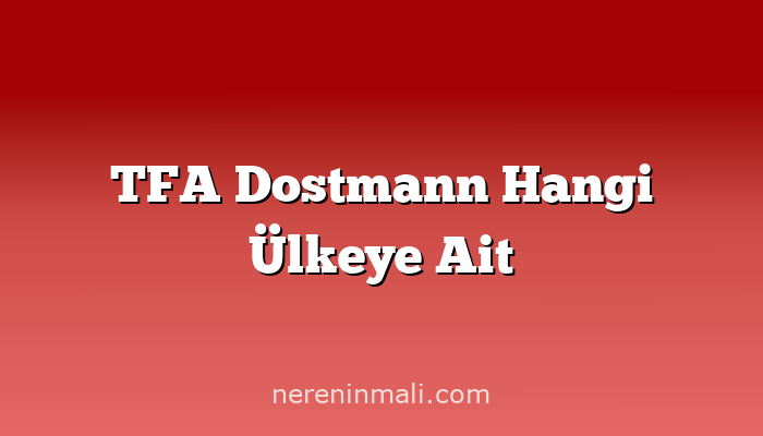 TFA Dostmann Hangi Ülkeye Ait