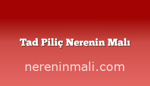 Tad Piliç Nerenin Malı