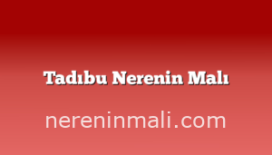 Tadıbu Nerenin Malı