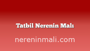 Tatbil Nerenin Malı