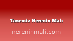 Tazemiz Nerenin Malı