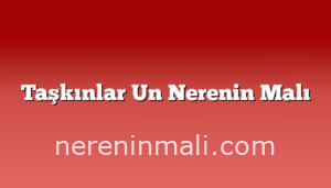 Taşkınlar Un Nerenin Malı