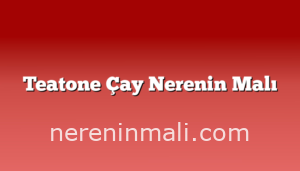 Teatone Çay Nerenin Malı