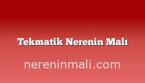 Tekmatik Nerenin Malı