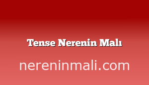 Tense Nerenin Malı