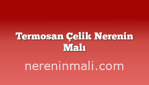 Termosan Çelik Nerenin Malı