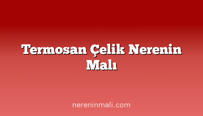 Termosan Çelik Nerenin Malı