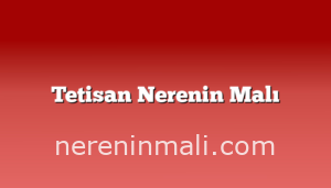 Tetisan Nerenin Malı