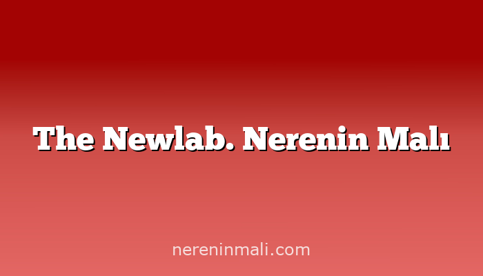 The Newlab. Nerenin Malı