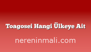 Toagosei Hangi Ülkeye Ait