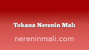 Tokana Nerenin Malı