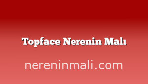 Topface Nerenin Malı