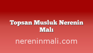 Topsan Musluk Nerenin Malı