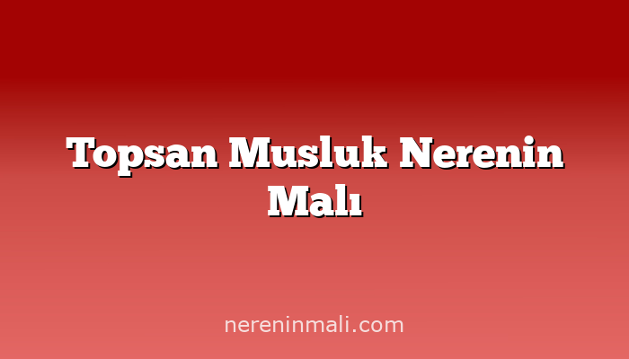 Topsan Musluk Nerenin Malı