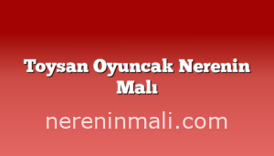 Toysan Oyuncak Nerenin Malı