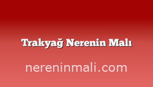 Trakyağ Nerenin Malı