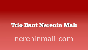 Trio Bant Nerenin Malı