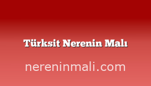 Türksit Nerenin Malı