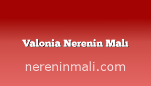 Valonia Nerenin Malı