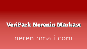 VeriPark Nerenin Markası