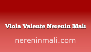 Viola Valente Nerenin Malı