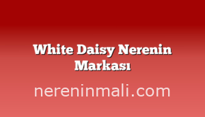 White Daisy Nerenin Markası