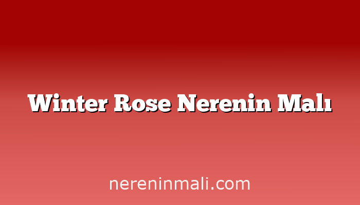 Winter Rose Nerenin Malı