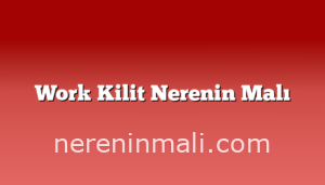 Work Kilit Nerenin Malı